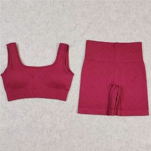 Two Piece Ribbed Seamless Fitness Yoga Sportswear Set